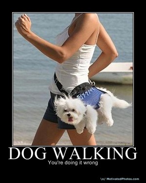 Walking the dog fitness tips in Apollo Beach, FL.